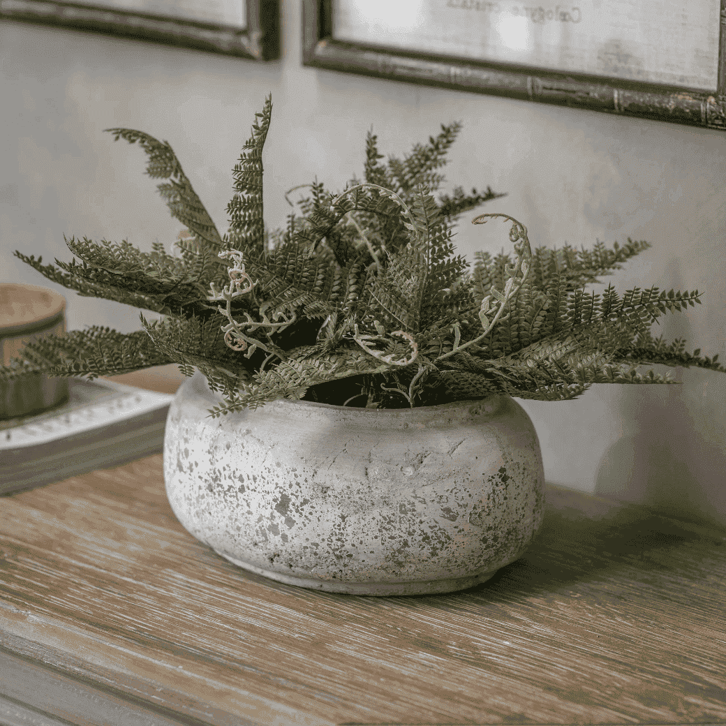 Birkdale Oval Planter 36cm Wide