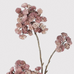 Mauve Sedum Spray 76cm B