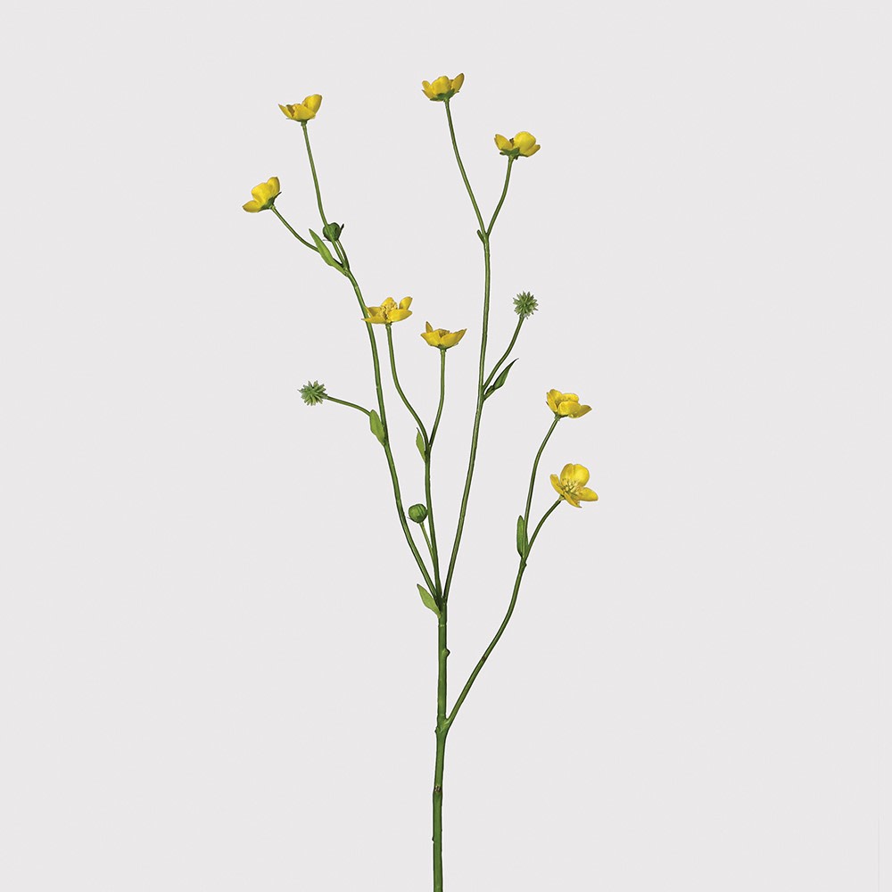 Meadow Buttercup Spray with Leaves-2