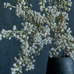 Mimosa Blush Faux Stem 45cm