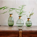 Mini Glass Vases - Green - Size Choice | Annie Mo's