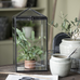 Mini Greenhouse 35cm | Annie Mo's
