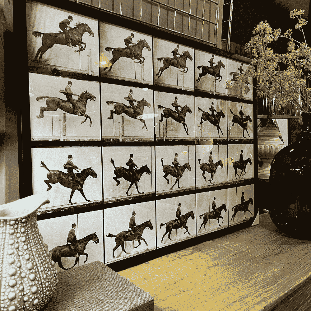 Monochrome Vintage Horse Jumping Cinematograph 