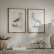 Moreton Set of 2 Crane Framed Prints 60cm | Annie Mo's
