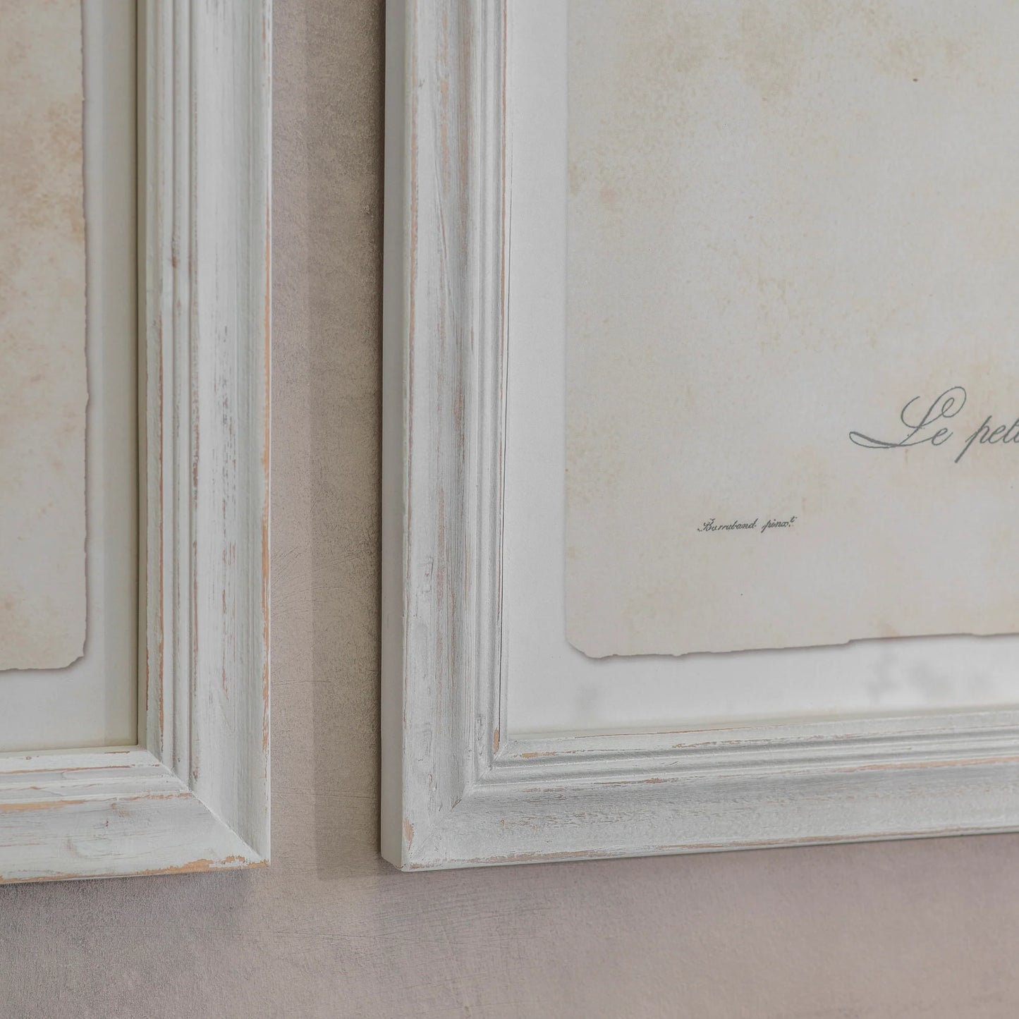 Moreton Set of Two Becard and Barbet Framed Prints 72cm