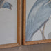 Moreton Set of Two Heron Framed Prints 100cm