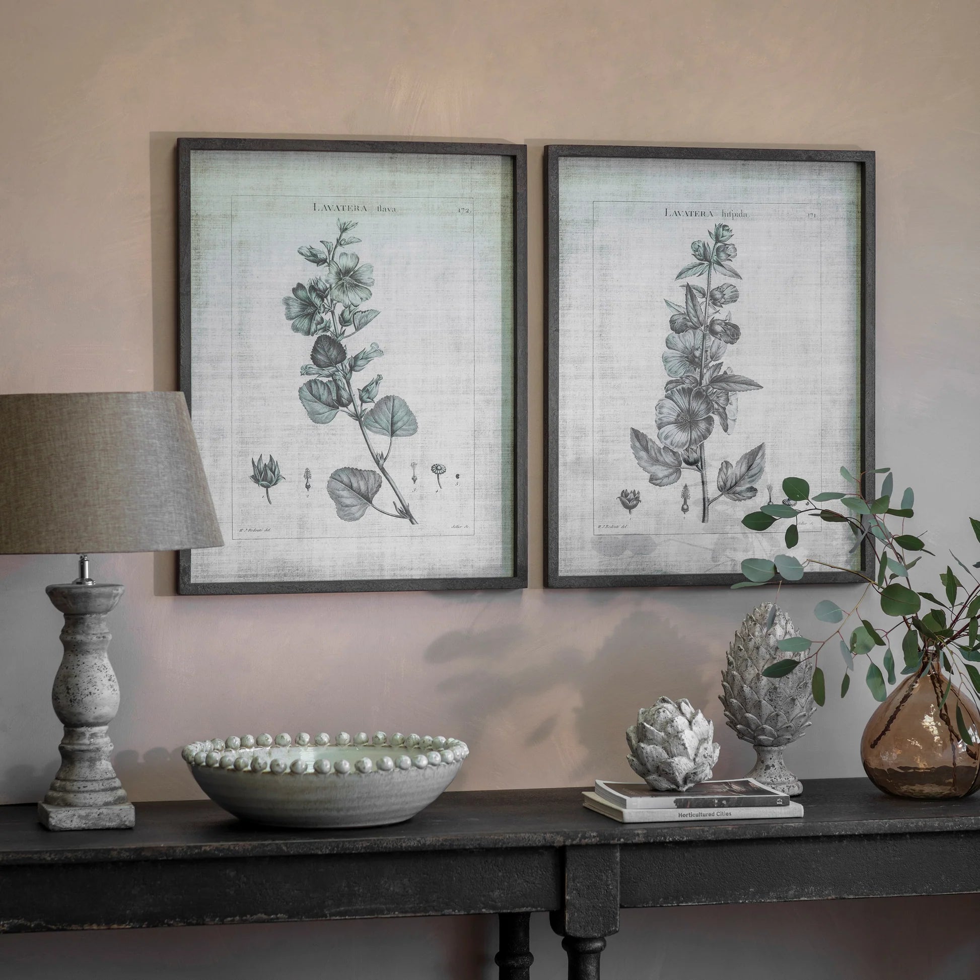 Ashmore Set of Two Lavatera Framed Prints 70cm | Annie Mo's