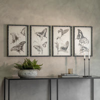 Four framed butterfly artworks on a wall above a console table with decorative items.