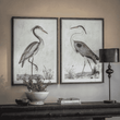 Moreton Set of Two Heron Framed Prints 100cm | Annie Mo's