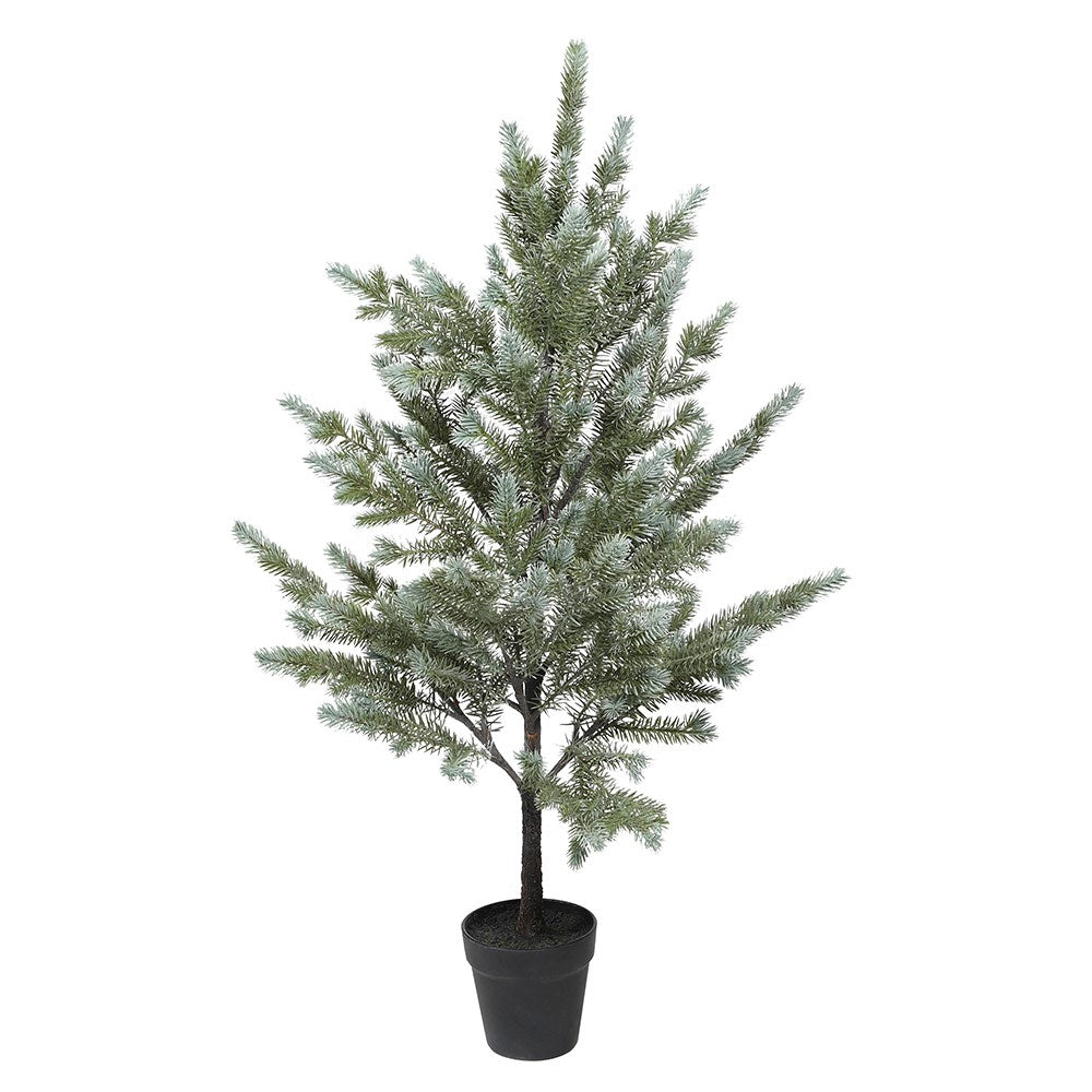 Noble Pine Christmas Tree - Small