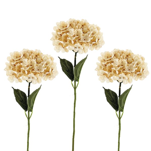 Off White Hydrangea Stem 67cm | Annie Mo's