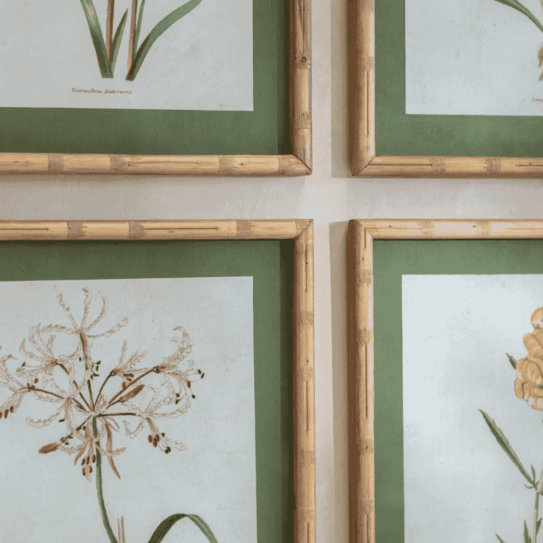 Ormington Set of Four Flower Framed Prints 55cm High Each B | Annie Mo's