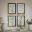 Ormington Set of Four Flower Framed Prints 55cm High Each | Annie Mo's