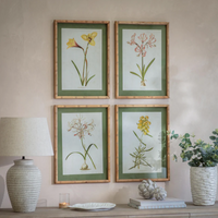 Ormington Set of Four Flower Framed Prints 55cm High Each | Annie Mo's