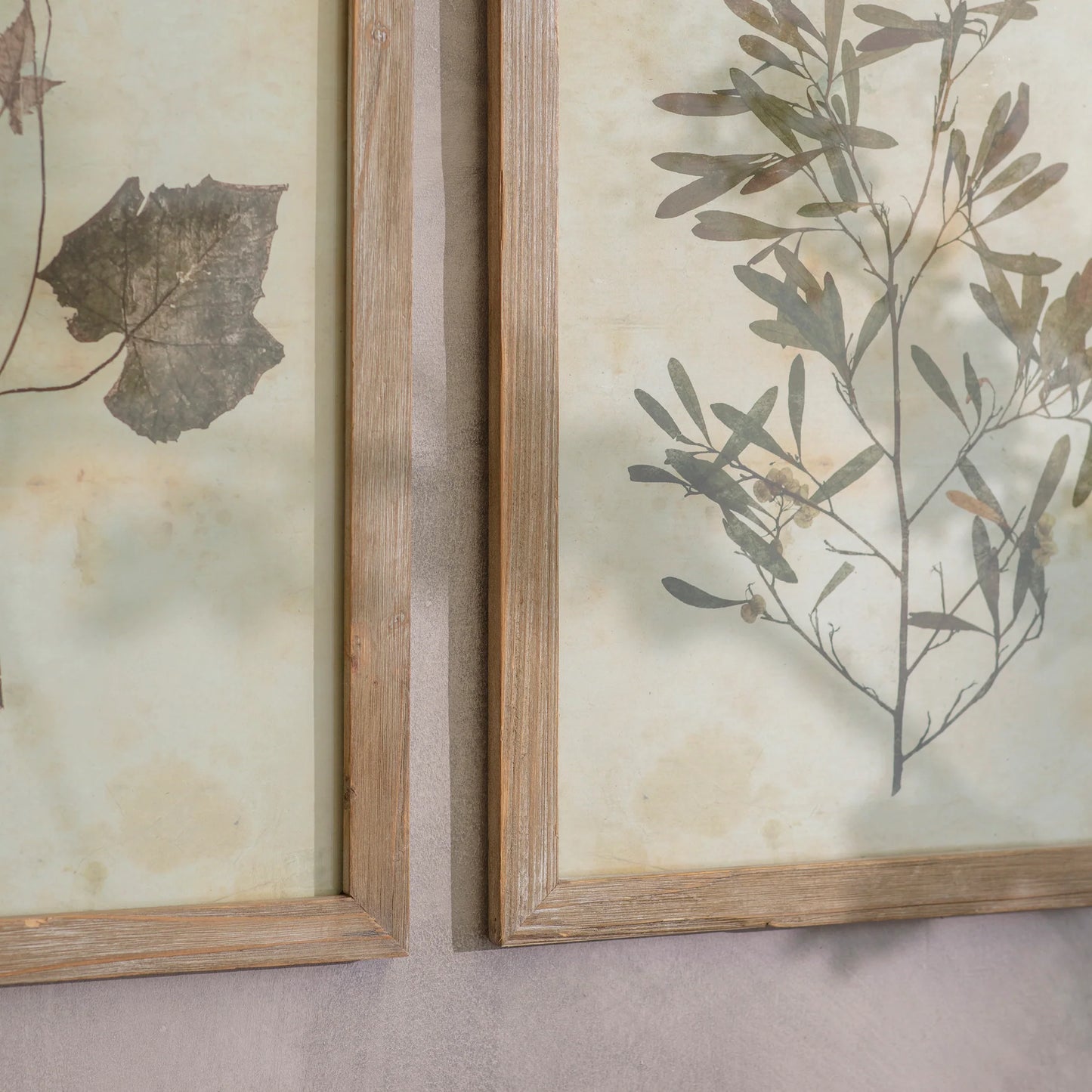 Ormington Set of Two Ornamental Leaf Framed Prints 53.8cm