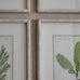Ormington Set of 6 Aloe and Algae Framed Prints 60cm