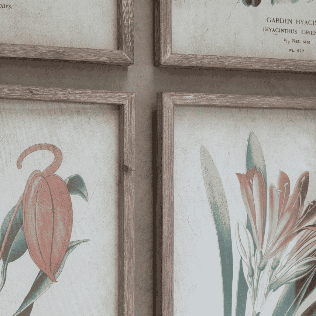 Ormington Set of Four Botanical Framed Prints 70cm-2