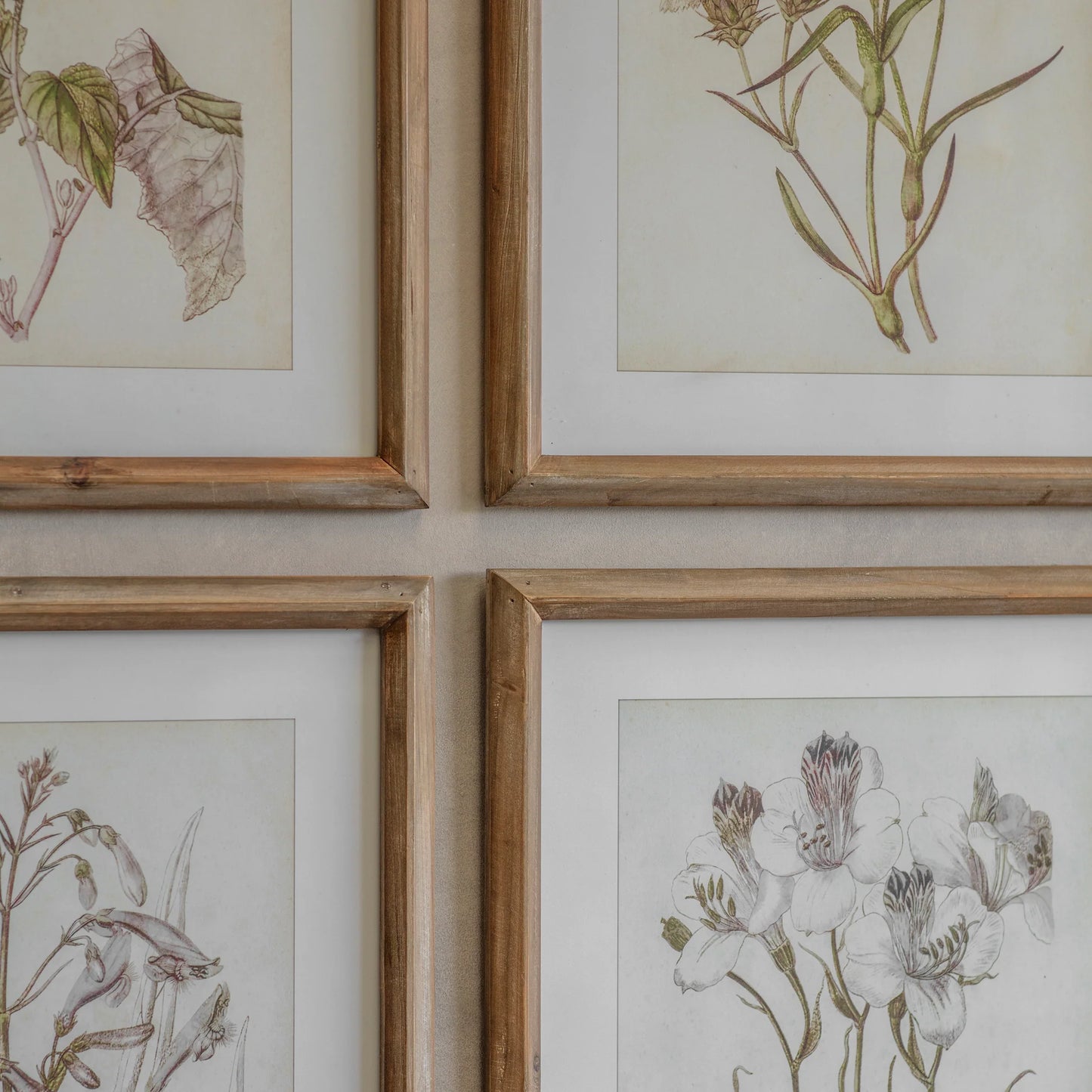 Ormington Set of Six Lavender Framed Prints 60cm-B