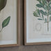 Ormington Set of Six Wildflower Framed Prints