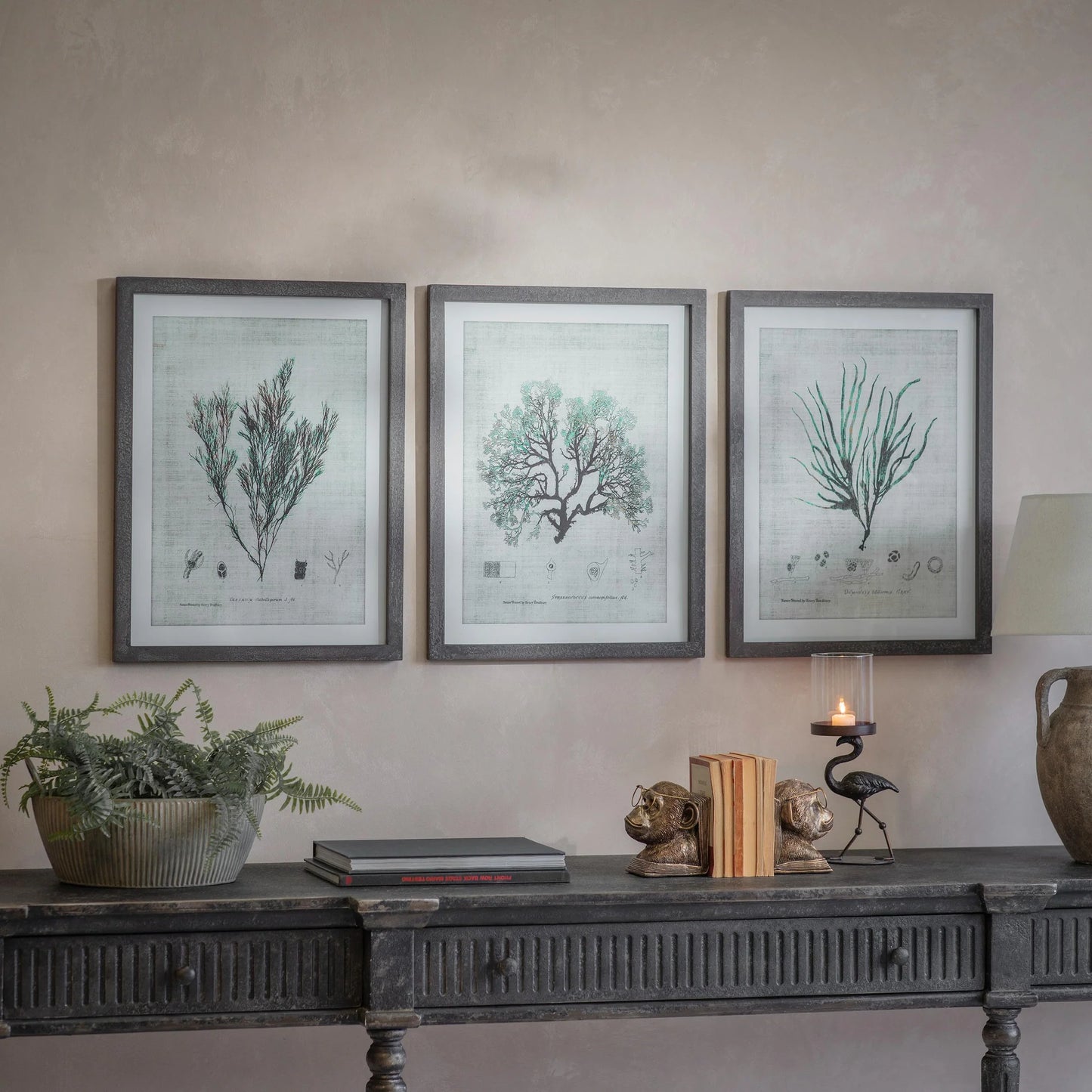 Ormington Set of Three Botanical Framed Prints