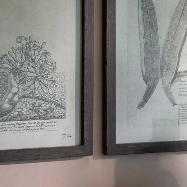 Ormington Set of Two Papaya Framed Prints 105cm