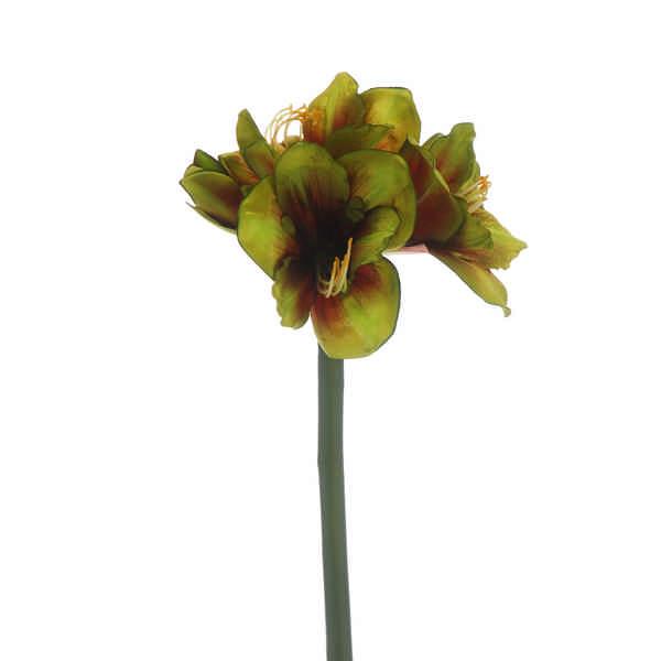 Green Amaryllis Stem 83cm | Annie Mo's