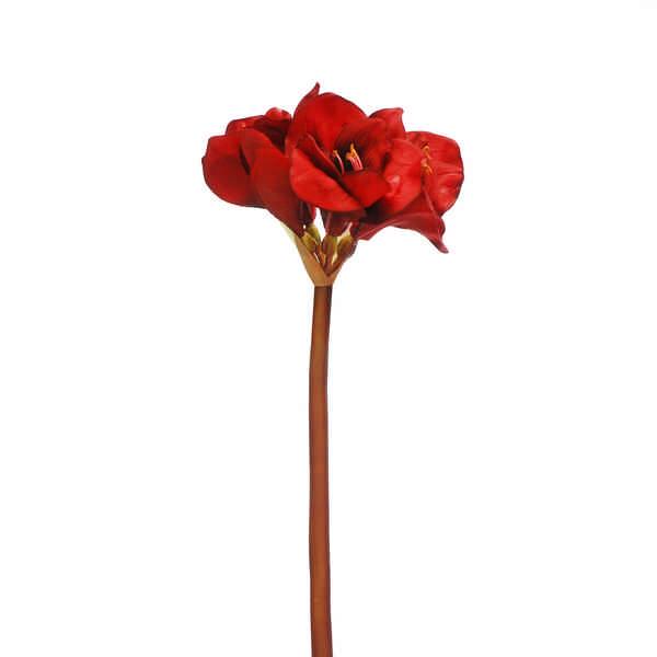 Red Amaryllis Stem 83cm