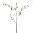 Green Ball Foliage with Pine Cone Stem 109cm | Annie Mo's