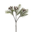 Frosted Pine with Mini Brown Pine Cones Stem 60cm | Annie Mo's