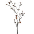 Frosted Pinecones Stem 89cm | Annie Mo's