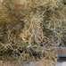 Spanish Moss Stem 30cm | Annie Mo's