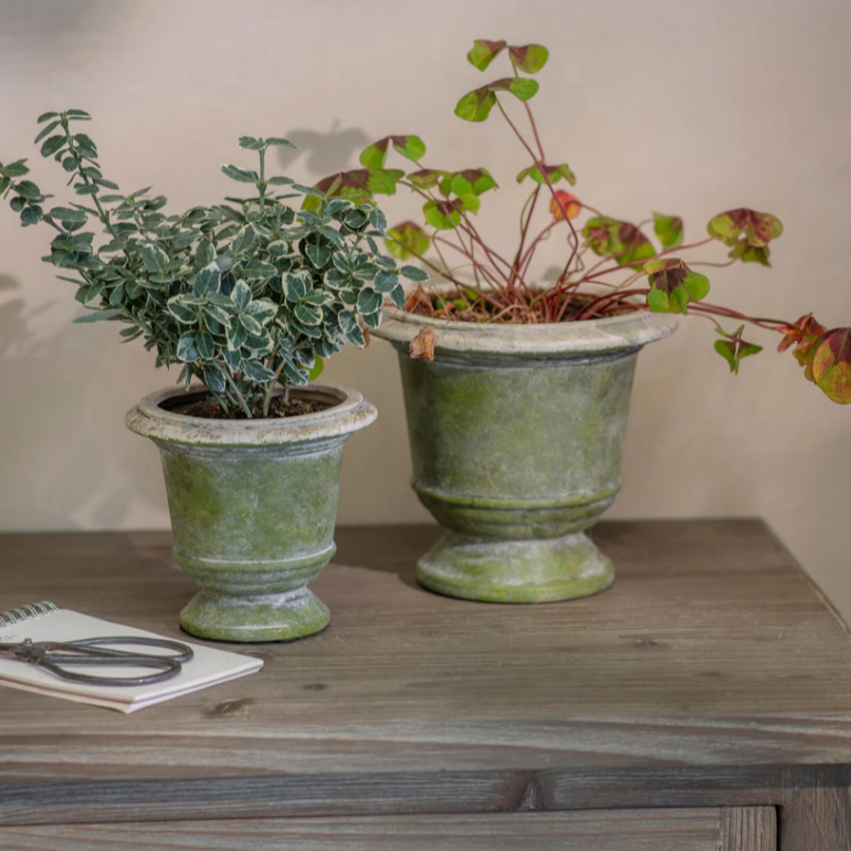 Patcham Planter - Size Choice | Annie Mo's 