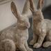 Penwick Pair of Hares 28cm B | Annie Mo's