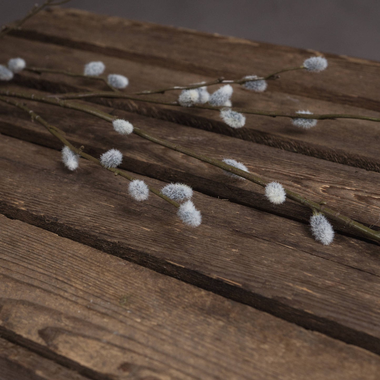 Pussy Willow Branch 103cm-C