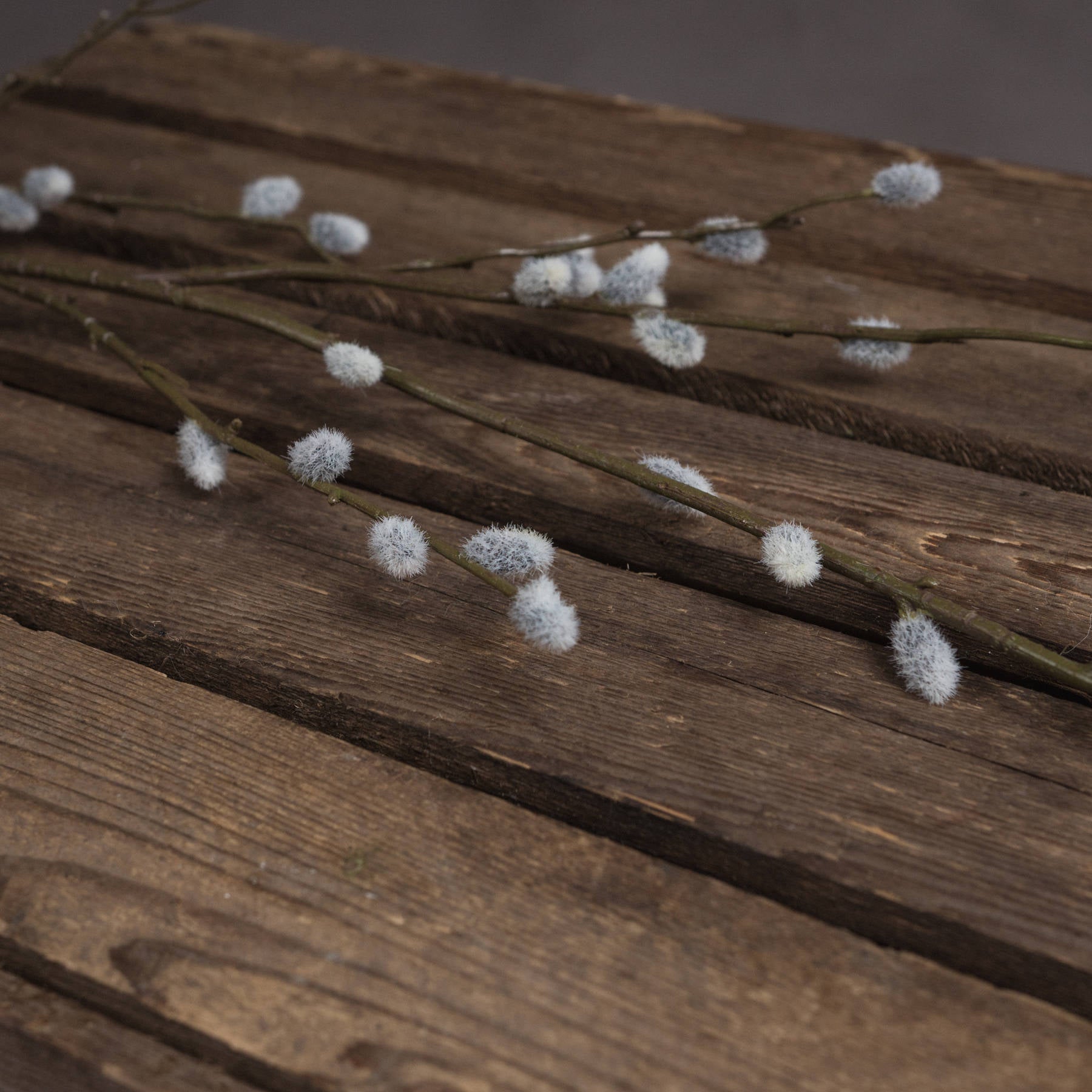 Pussy Willow Branch 103cm-C
