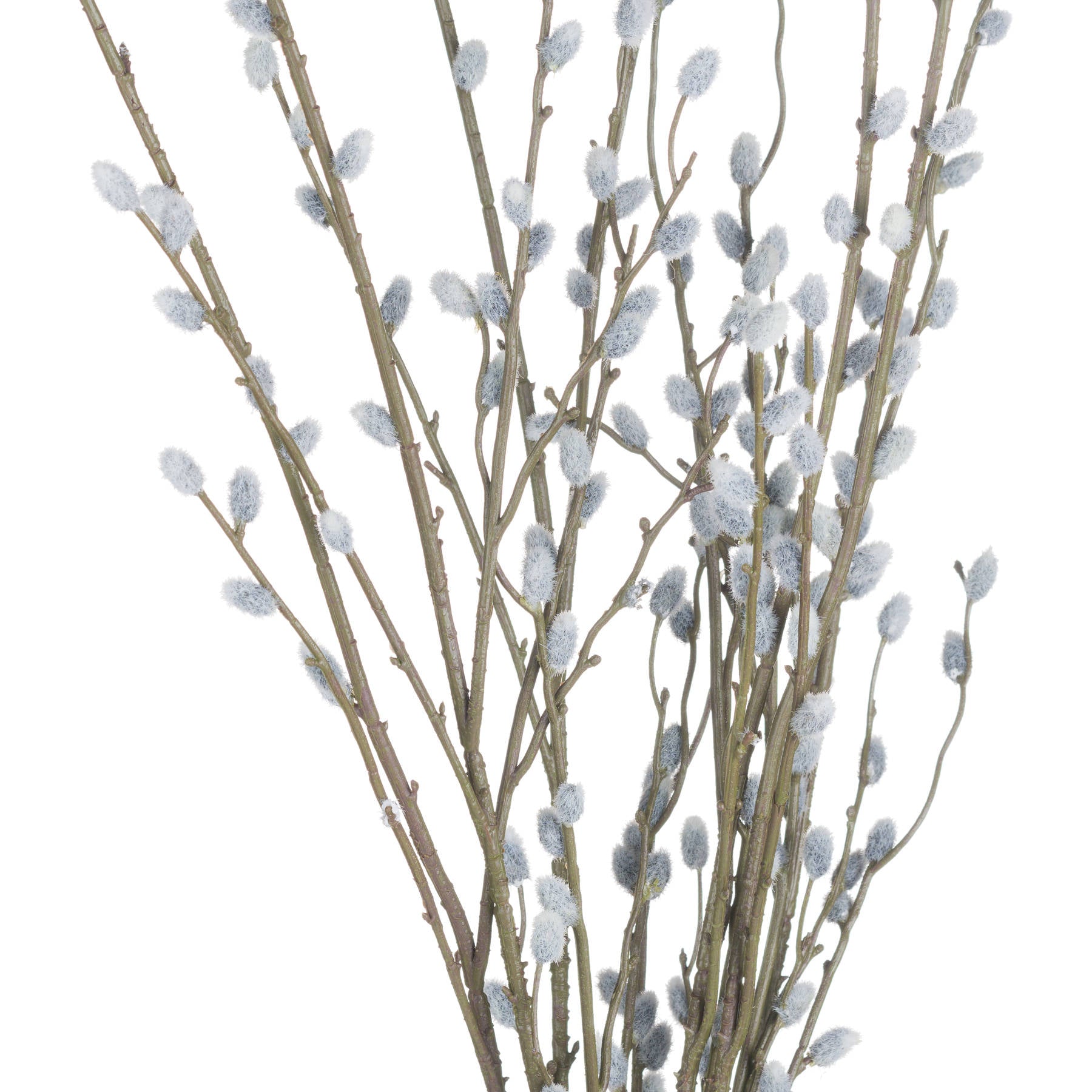 Pussy Willow Branch 103cm-B