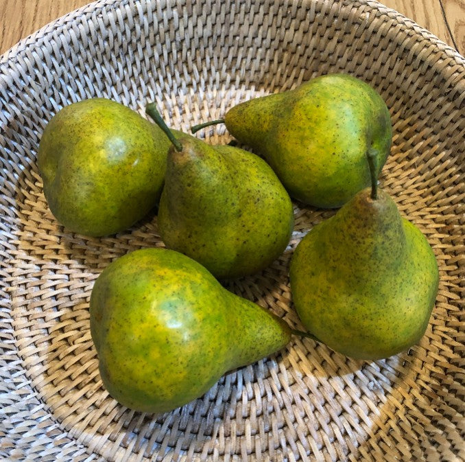 Real Feel Conference Pear 12cm