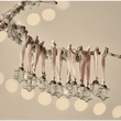 Sardi Star Baubles - Clear (Set of 12) | Annie Mo's