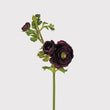 Scarlet Ranuncula Stem 55cm