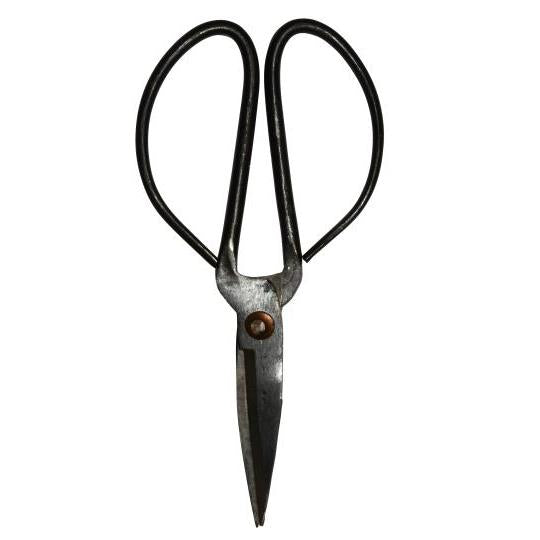 Scissors | Annie Mo's