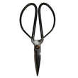 Scissors | Annie Mo's