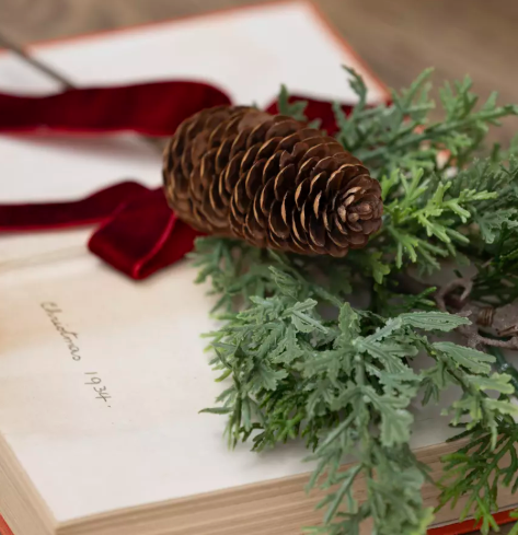Foliage and Fircone Sprig with Velvet Ribbon 30cm