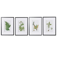 Set of Four Framed Fern Floral Pictures 70cm | Annie Mo's