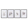 Set of Four Monochrome Botanical Pictures 70cm