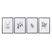 Set of Four Monochrome Botanical Pictures 70cm