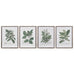 Set of Four Perennial Herbs Wall Art 65cm | Annie Mo's