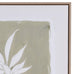 Set of Three Framed Canvas Leaf Prints 60cmB