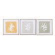 Set of Three Framed Canvas Leaf Prints 60cmC
