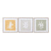 Set of Three Framed Canvas Leaf Prints 60cmC