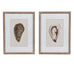 Set of Two Framed Oysters Print 40cm | Annie Mo's
